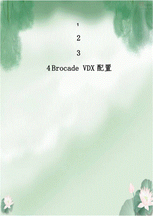 Brocade VDX配置.doc