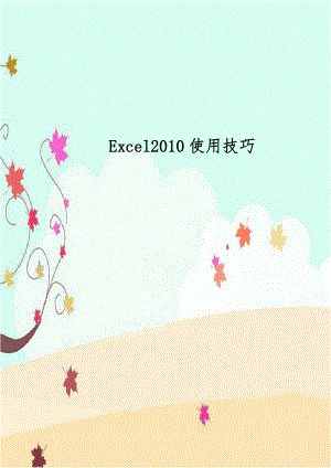Excel2010使用技巧.doc