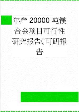 年产20000吨镁合金项目可行性研究报告（可研报告(83页).doc