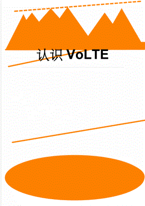 认识VoLTE(17页).doc