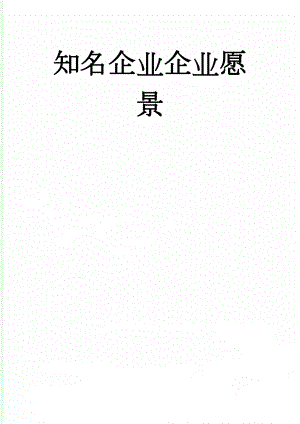 知名企业企业愿景(12页).doc