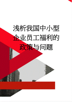 浅析我国中小型企业员工福利的政策与问题(16页).doc