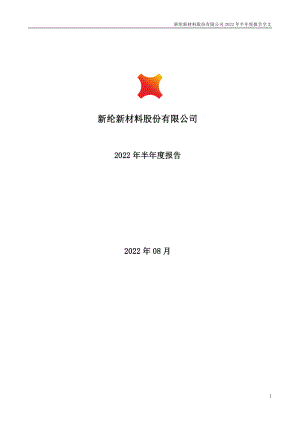新纶新材：2022年半年度报告.PDF