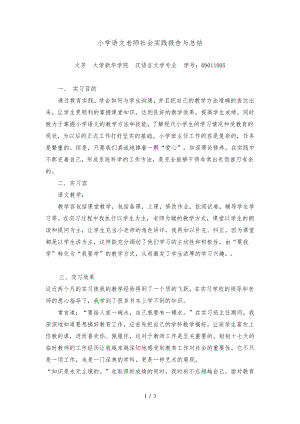 小学语文老师实习报告31446.pdf